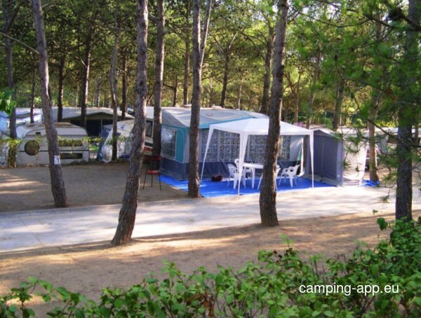 Càmping King's — Photo 3