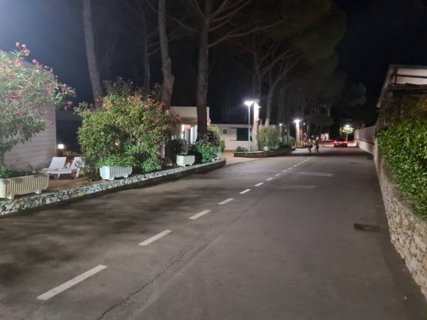 Cypsela Resort — Photo 2