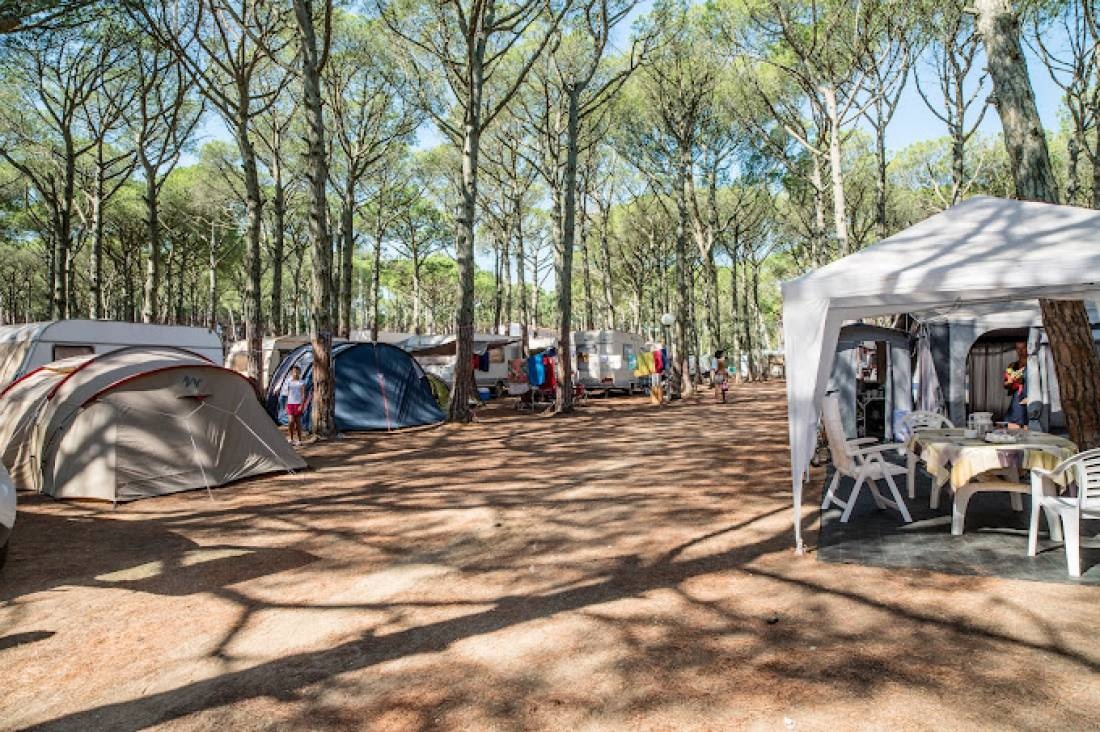 Camping Neptuno — Campingplass in Pals