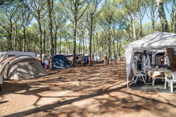 Camping Neptuno