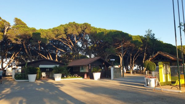 Camping Vall d'or — Photo 3