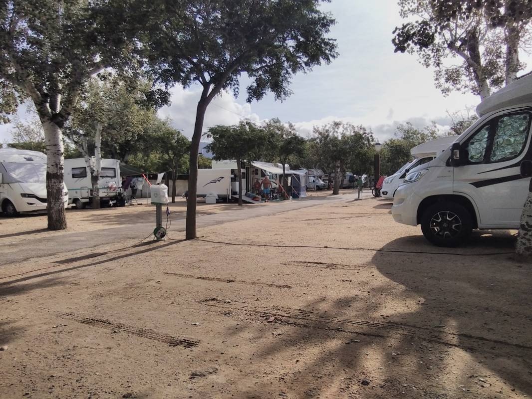 Camping Joncar Mar — Campingplass in Roses / Cataluña