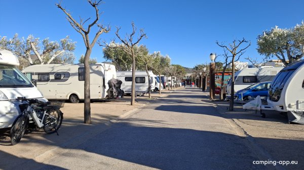 Camping Joncar Mar — Fotoğraf 4