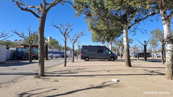 Camping Joncar Mar — Fotoğraf 6