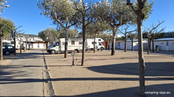 Camping Joncar Mar — Fotoğraf 5