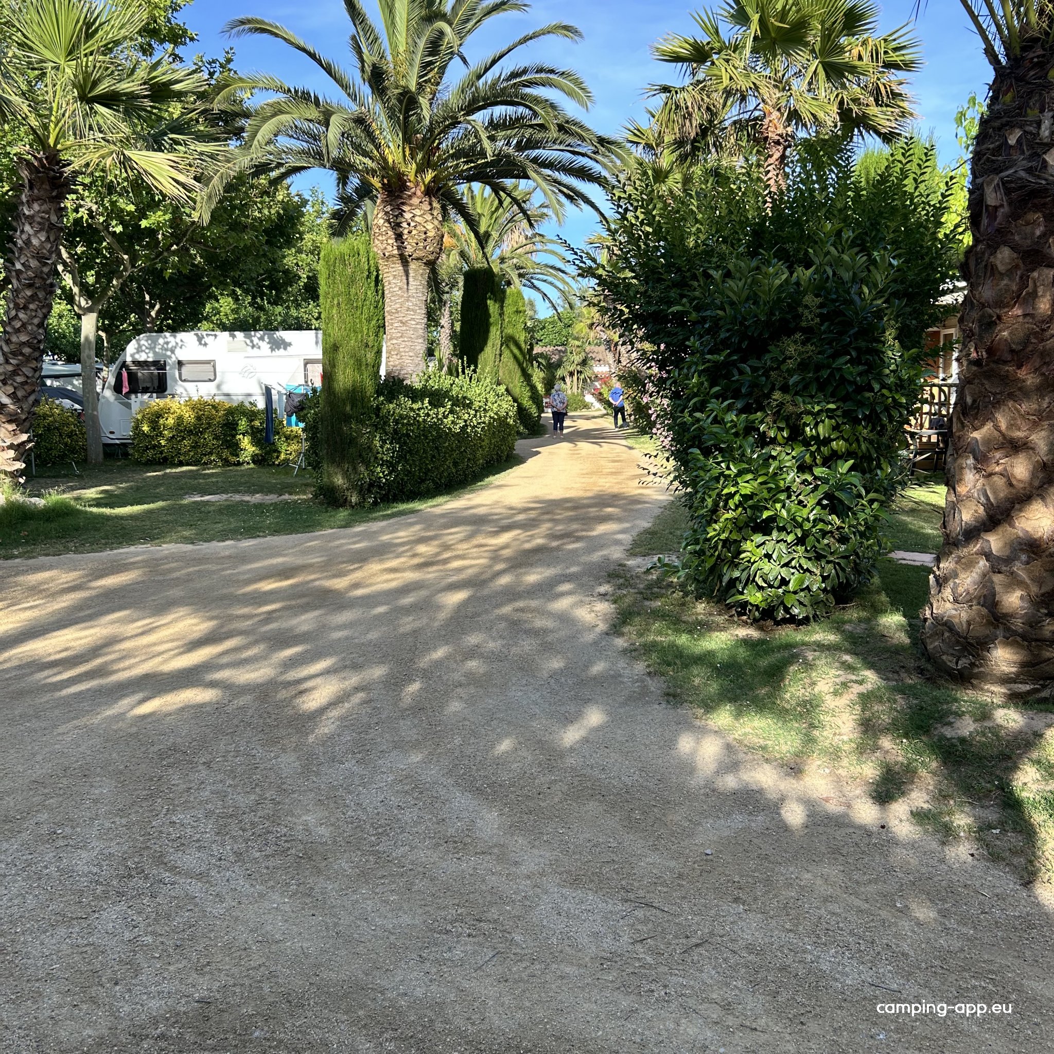 Camping las Palmeras — Foto 2