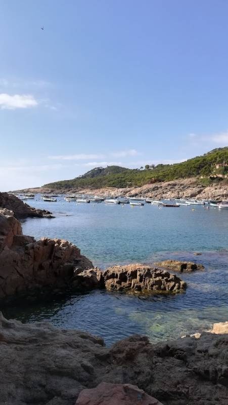 Camping Tamariu — Area da campeggio in Tamariu / Cataluña