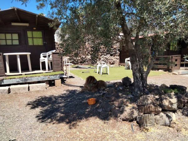 Camping Temisas — Photo 2