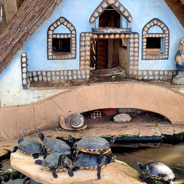 Camping Don Cactus Grupo Campingred — Photo 5