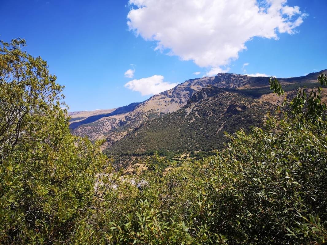 Camping Trevelez — Campingplass in Trevélez / Andalucía