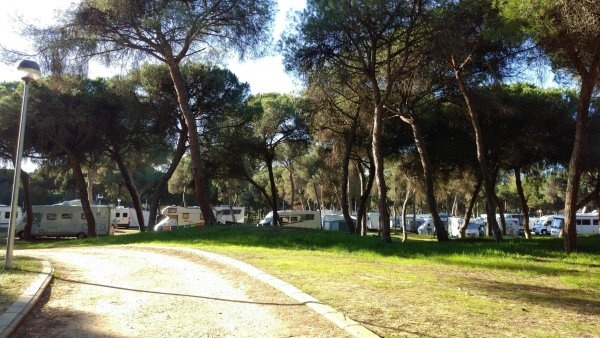 Camping Giralda Isla Cristina — Campingplads in Isla Cristina / Castilla-La Mancha