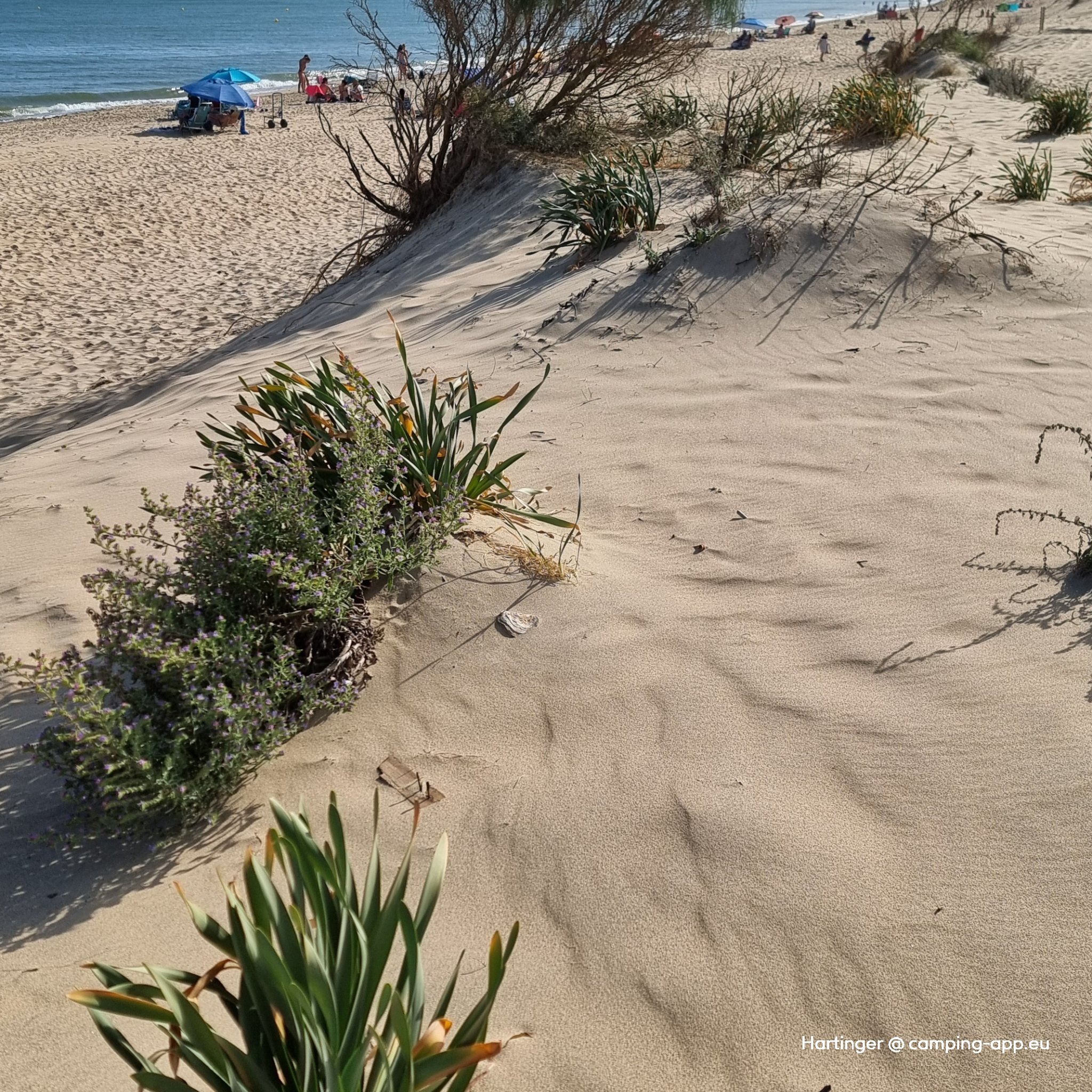 Camping Giralda Isla Cristina — Foto 2
