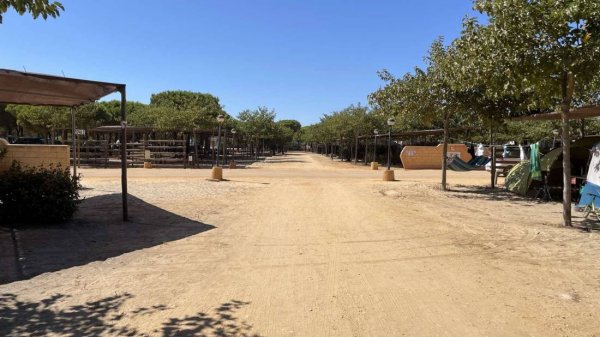 Camping Doñana Mazagón — Foto 2