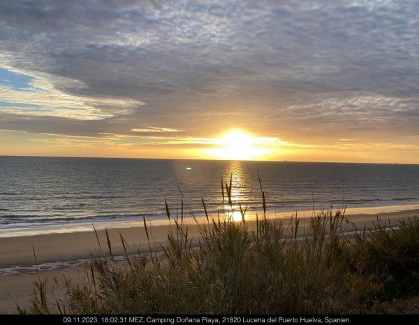Camping Doñana Mazagón — Photo 2