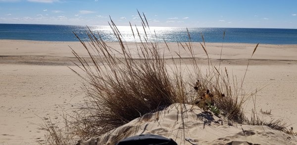 Camping Antilla — Area da campeggio in Lepe / Andalucía