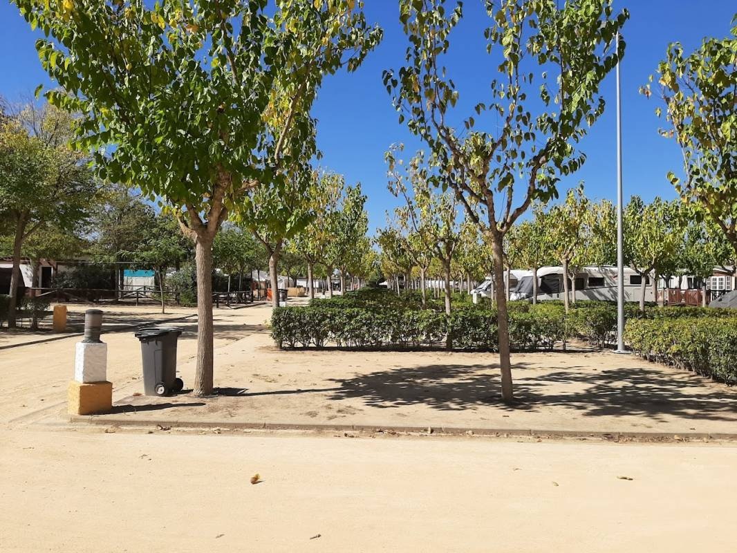 Camping La Aldea — Campingplatz in El Rocío / Andalucía