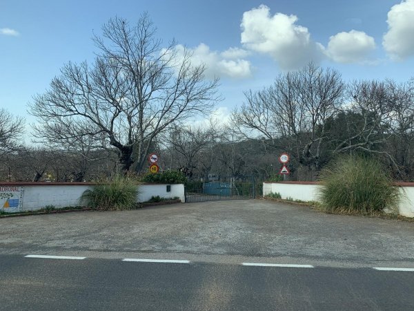 The Madroñal, Camping and Lodging — Foto 2