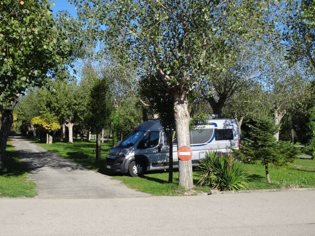 Camping Sabiñánigo — Camping in Sabiñánigo