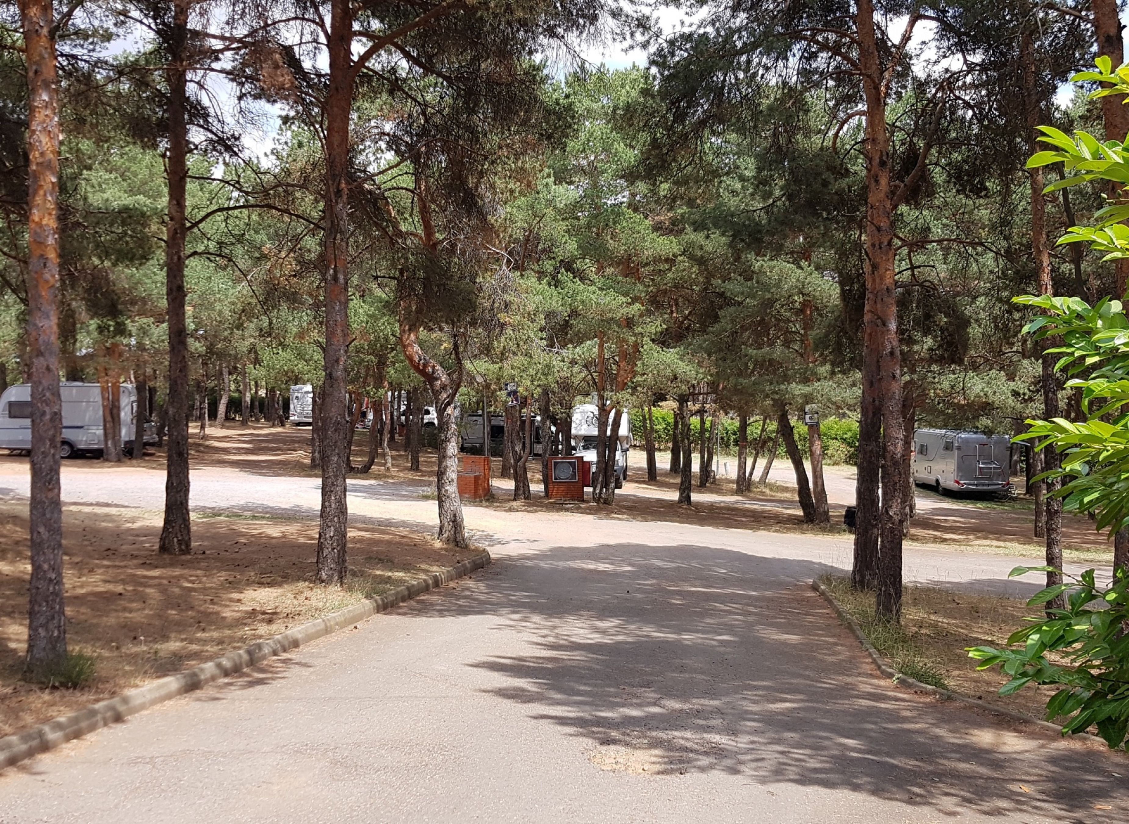 Camping Ciudad de Leon — Area da campeggio in Golpejar de la Sobarriba / Castilla y León