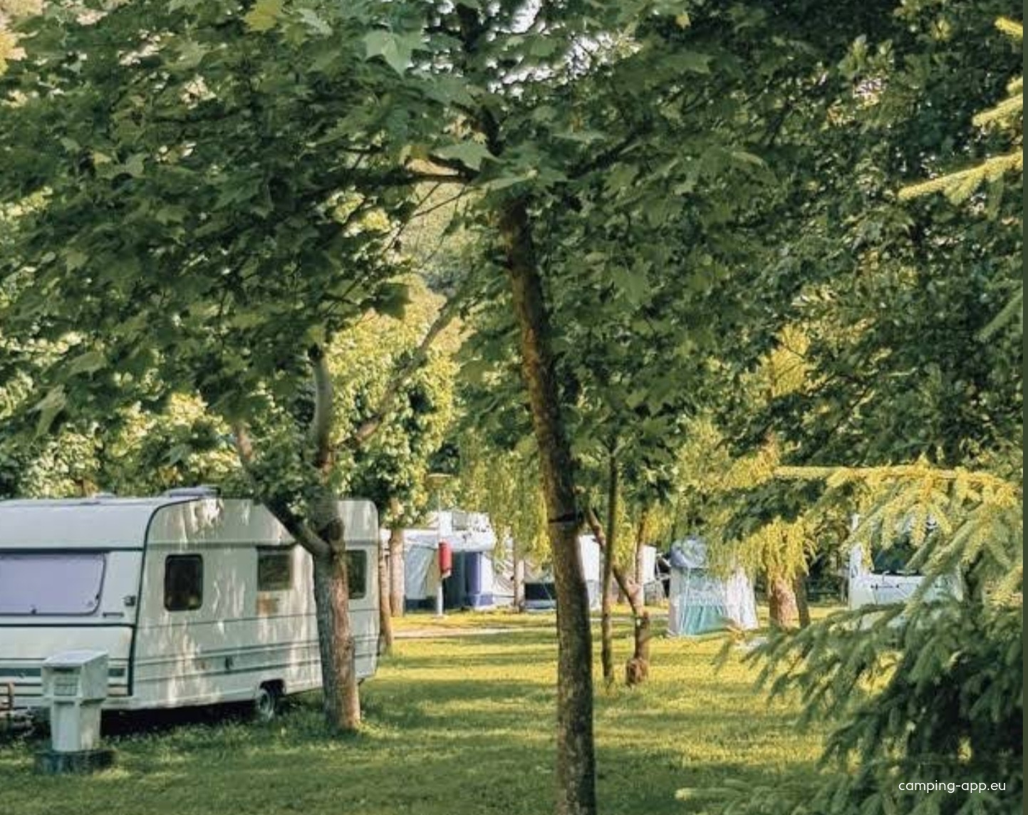 Càmping l'Orri del Pallars — Campingplats in Montardit de Baix / Cataluña