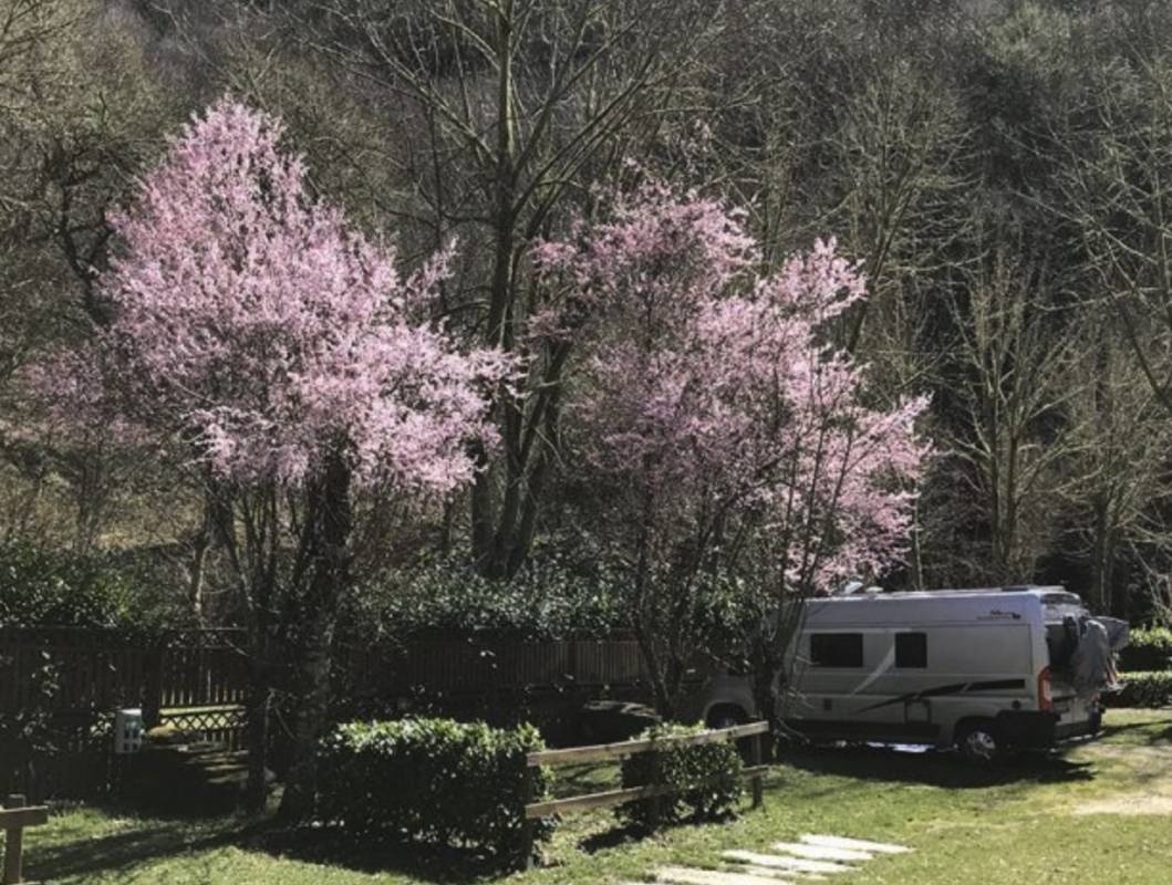 Acampamento O Caurel — Area da campeggio in Folgoso do Courel / Galicia