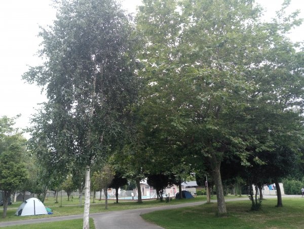 Camping Ribadeo — Camping in Ribadeo / Galicia