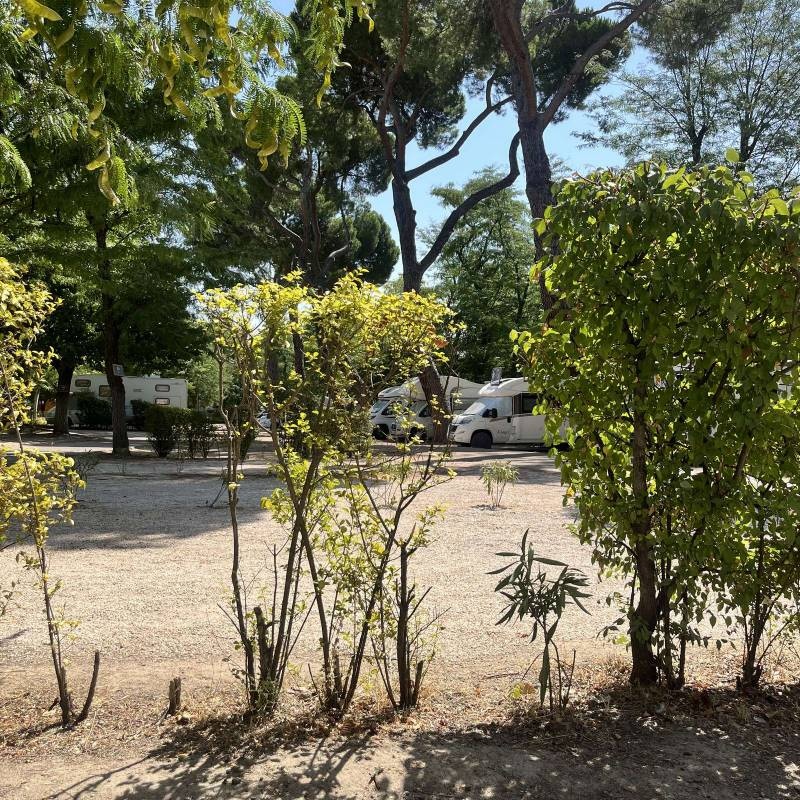 Camping Osuna — Camping in Madrid / Comunidad de Madrid