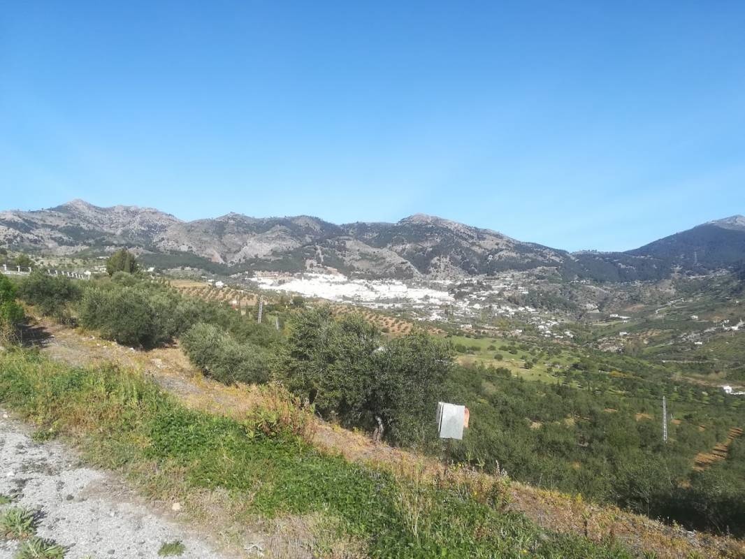 Camping Loma Taivilla — Kamp yeri in Casarabonela / Andalucía