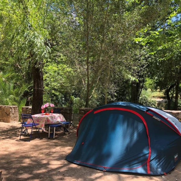 Camping cabañas Jimera De Libar — Photo 2