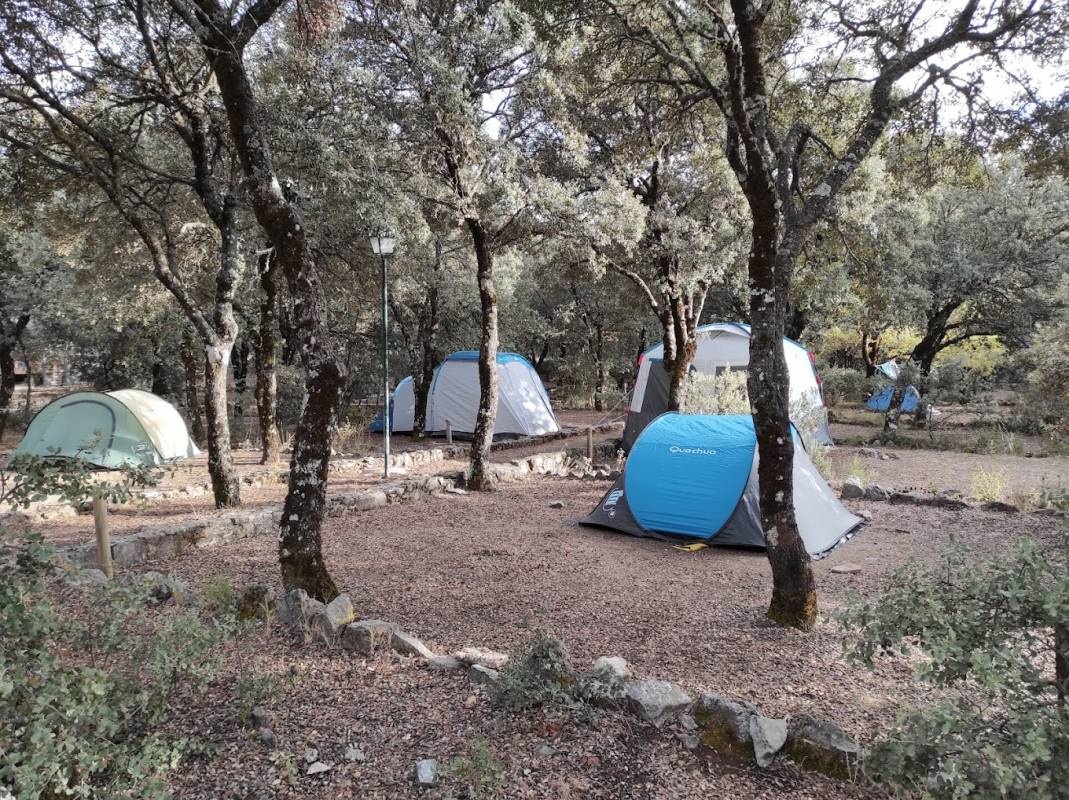 Camping Municipal Conejeras — Campingplass in Parauta / Andalucía