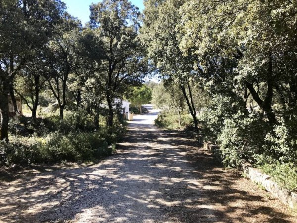 Camping Municipal Conejeras — Photo 2