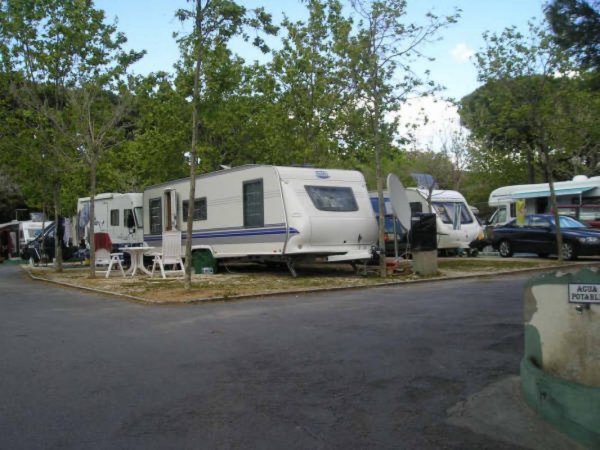 Camping Los Jarales