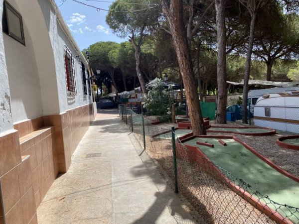 Camping Los Jarales — Photo 2