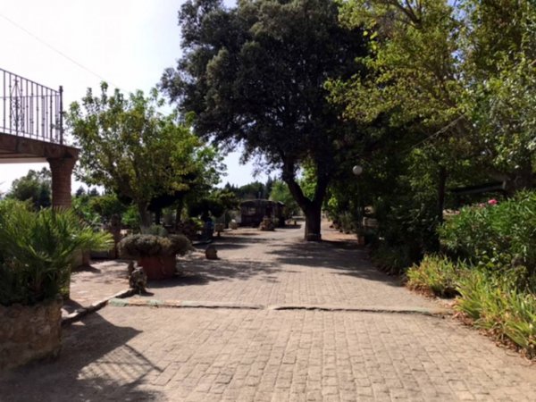 Camping El Cortijo — Foto 3