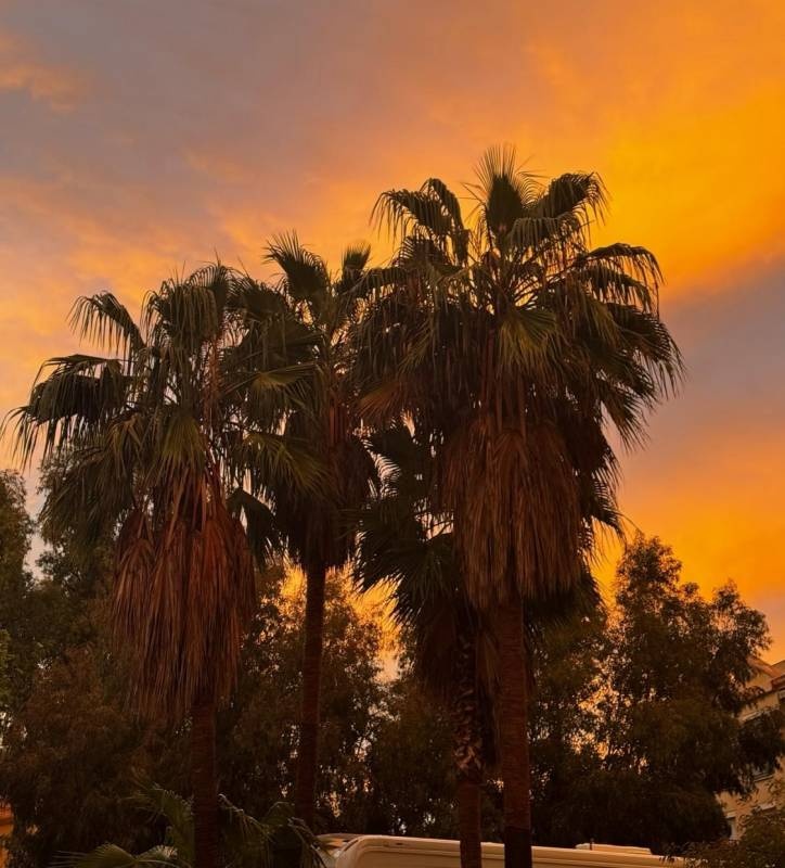 Camping Torremolinos — Campingplass in Torremolinos / Andalucía