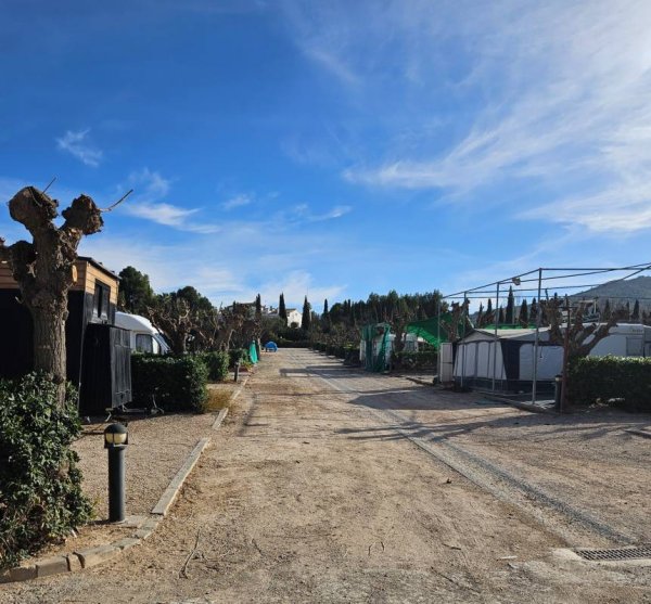 Camping La Rafa — Foto 3