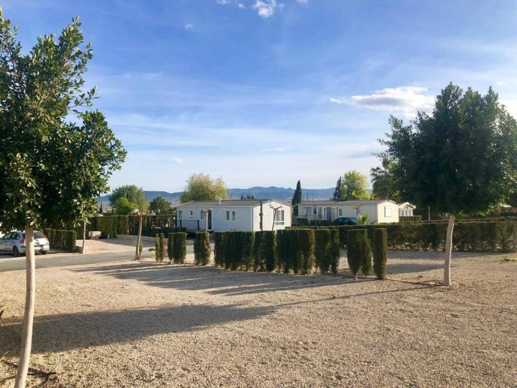 Camping Totana — Campingplads in Totana / Región de Murcia