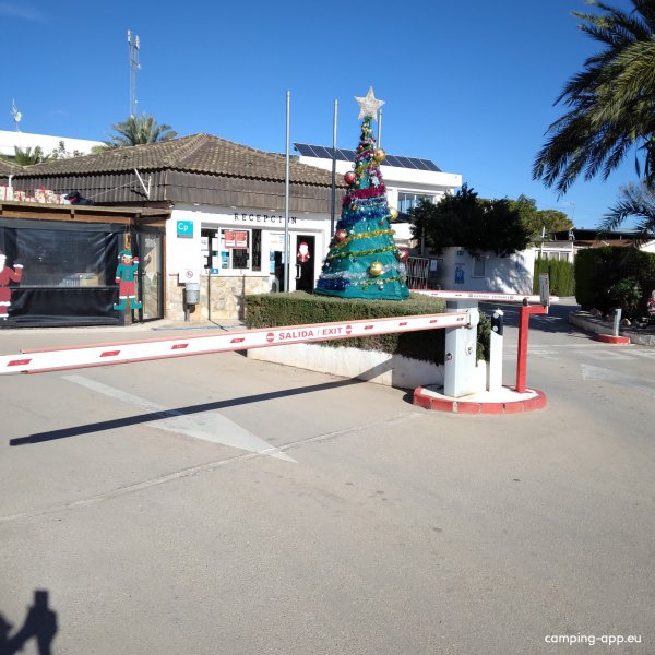 Camping San Javier — Photo 5