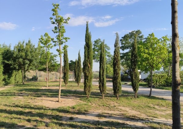 Camping Bardenas — Місце для кемпінгу in Villafranca, Navarra / Navarra