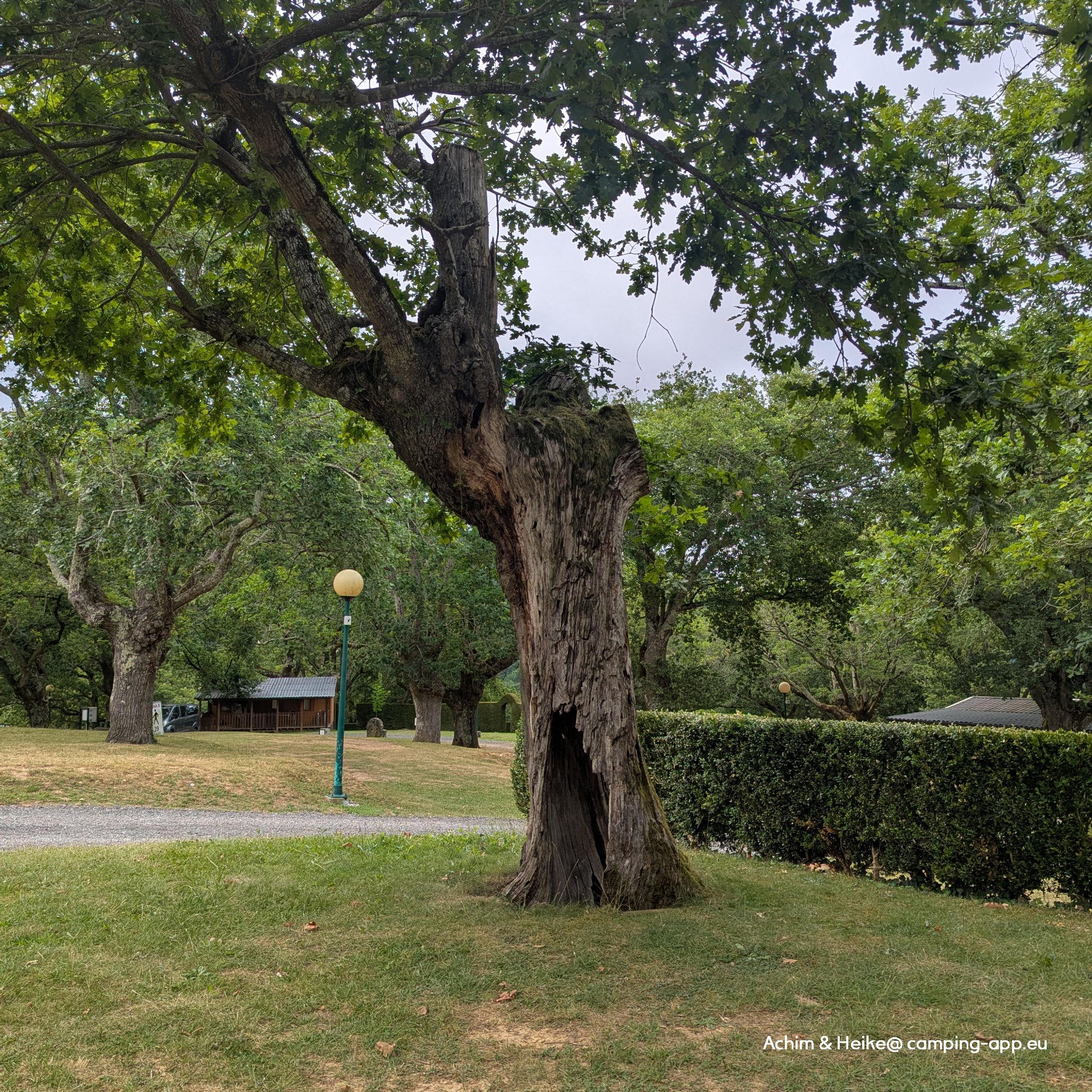 Camping Ariztigain *** — Fotoğraf 3
