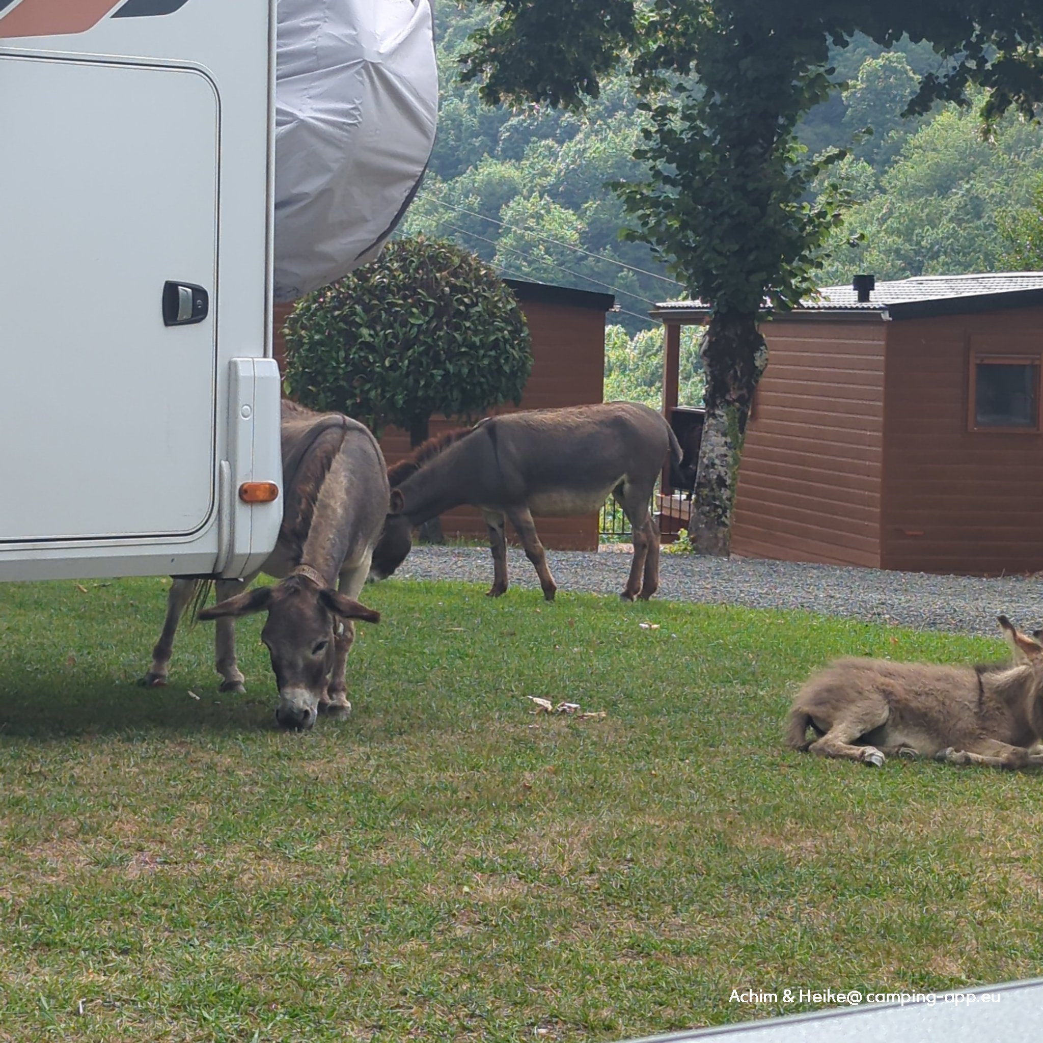 Camping Ariztigain *** — Fotoğraf 2