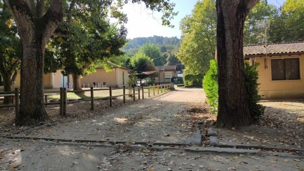 Camping Os Invernadeiros — Photo 2