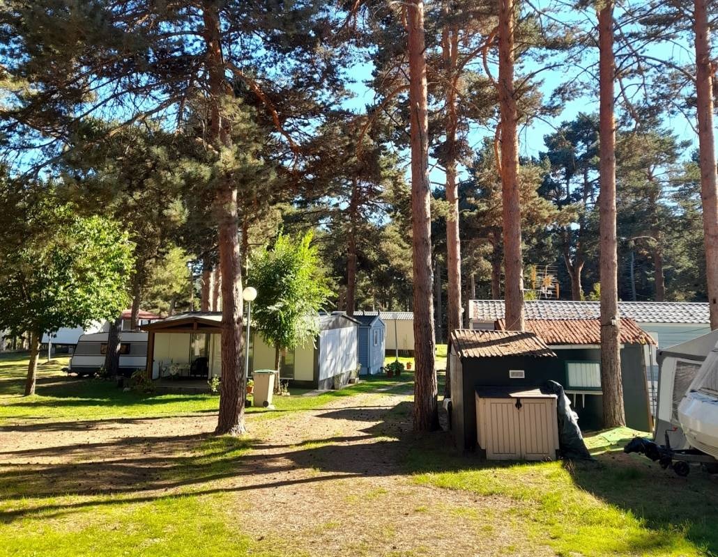 Monte Royal — Area da campeggio in Aguilar de Campoo / Castilla y León