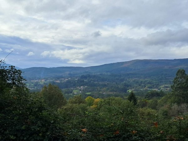 Camping Cañiza ** — Photo 5