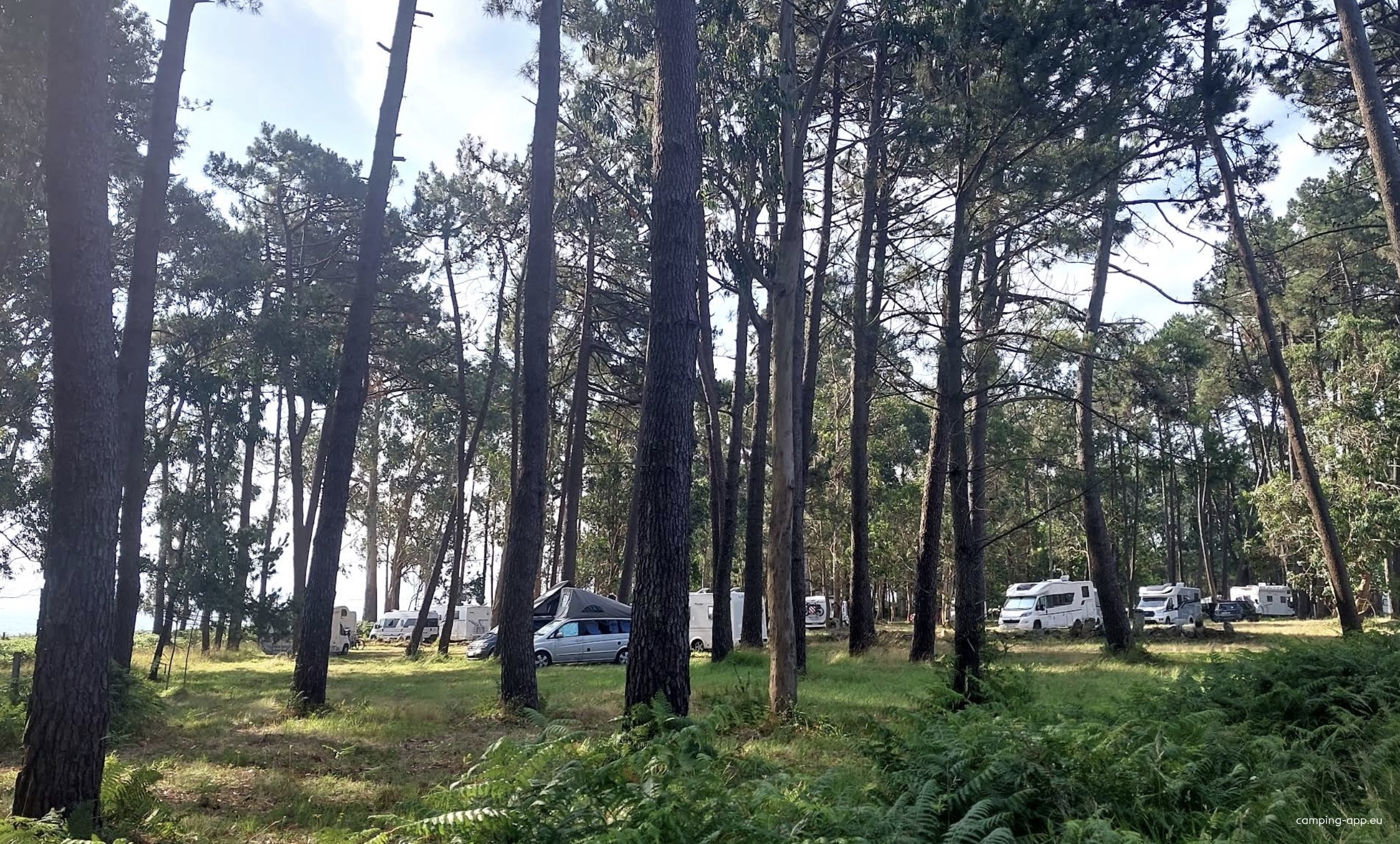 Camping El Edén — Sítio de acampamento in  / Galicia