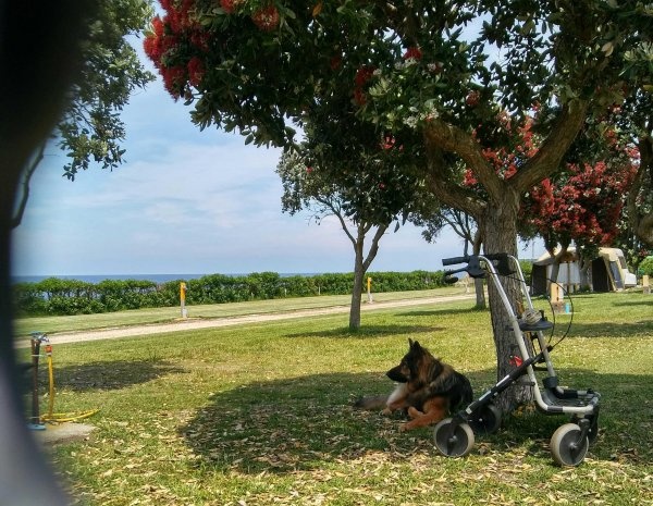 Camping Pontevedra - CAMPING MOUGAS — Campingplatz in Oia / Galicia