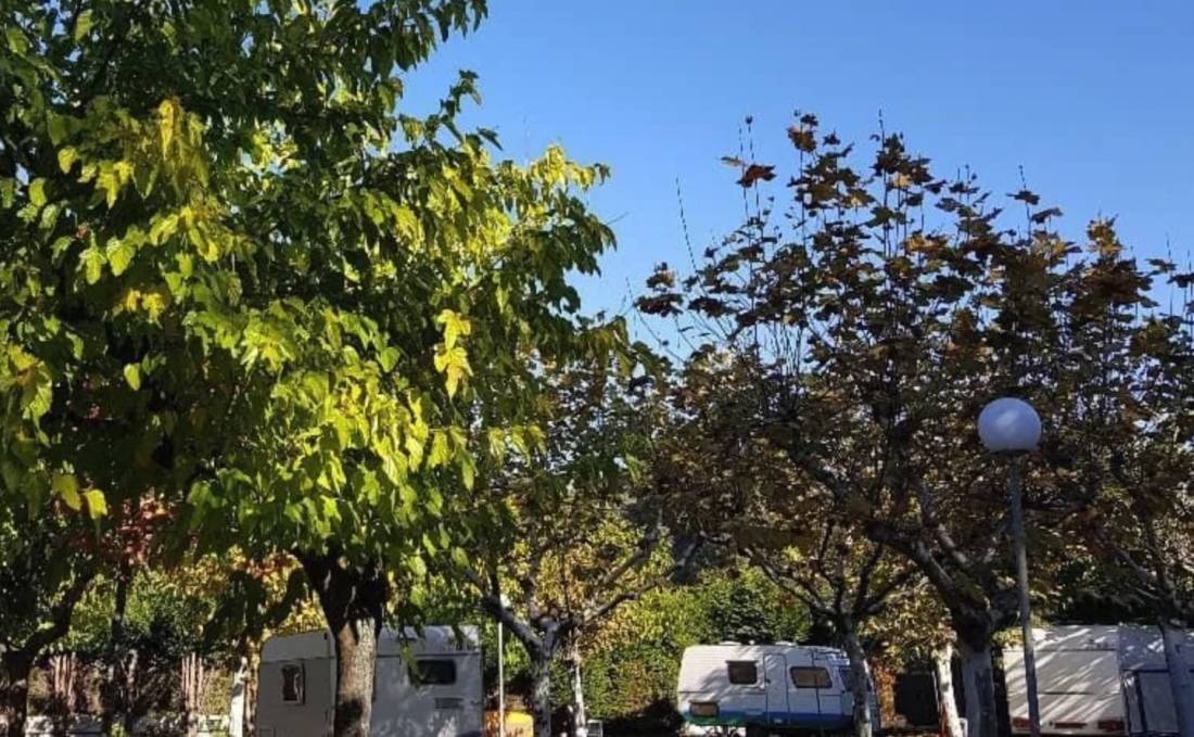 Camping Playa El Terrón — Campingplatz in Vilanova de Arousa