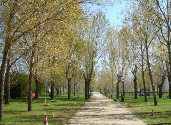 Camping Aqueduct — Photo 3
