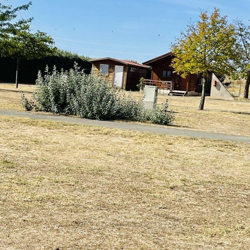 Aeródromo de Fuentemilanos — Місце для кемпінгу in Segovia / Castilla y León