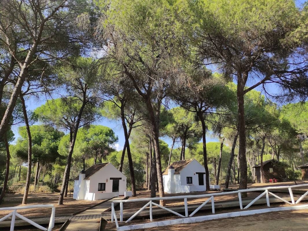 Camping Dehesa Nueva — Campingplass in Isla Mayor / Andalucía